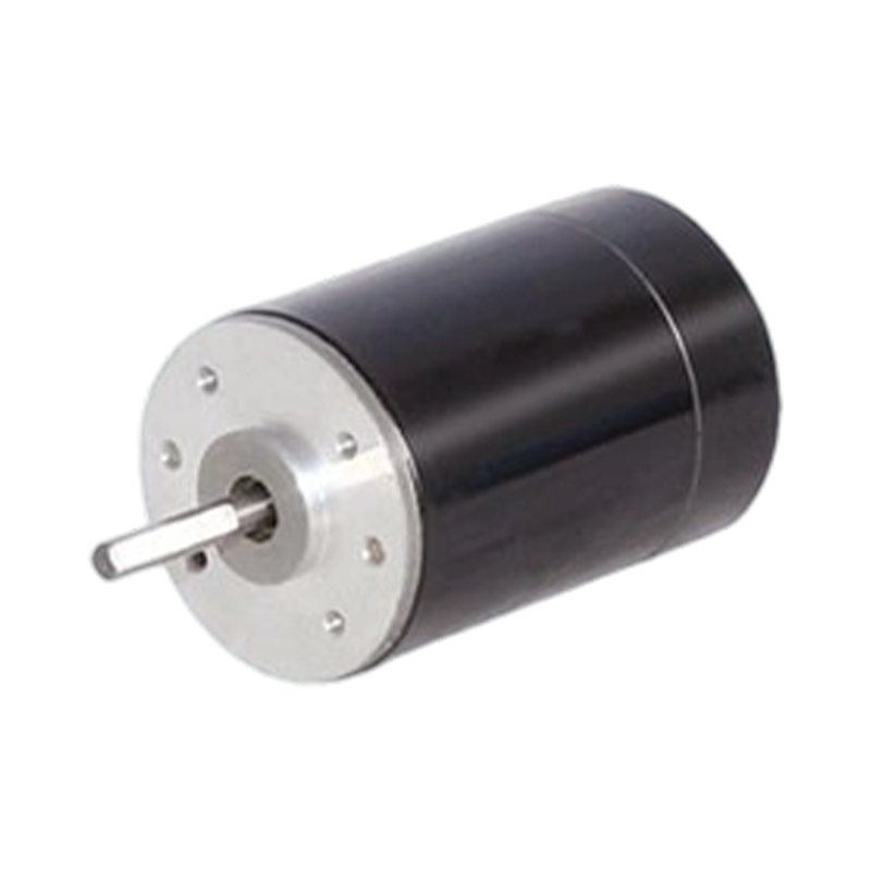 38ZY63 38mm 24V/48V Szczotkowany silnik prądu stałego z magnesami trwałymi